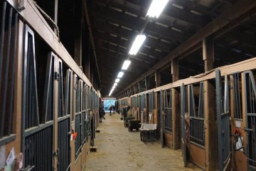 North Shore Equestrian Center